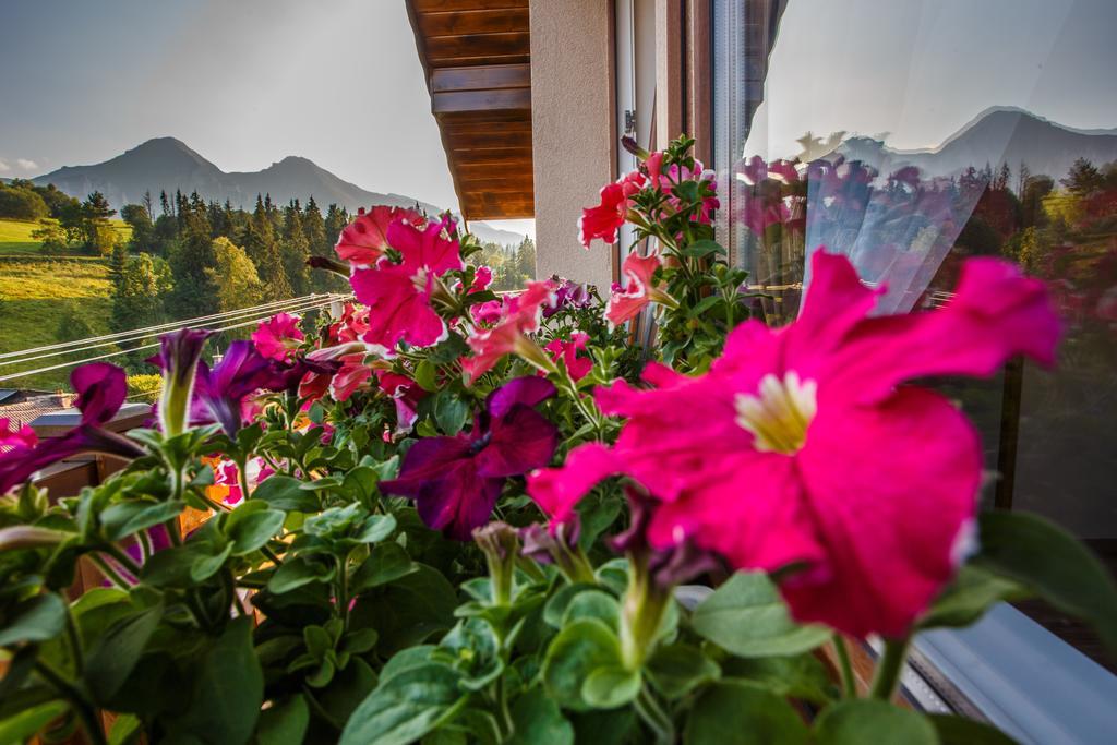 Privat Gazda Pension Ждяр Екстер'єр фото